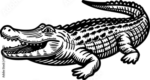 Crocodile illustration detailed animal engraving, vintage reptile drawing, wildlife nature fauna graphic art