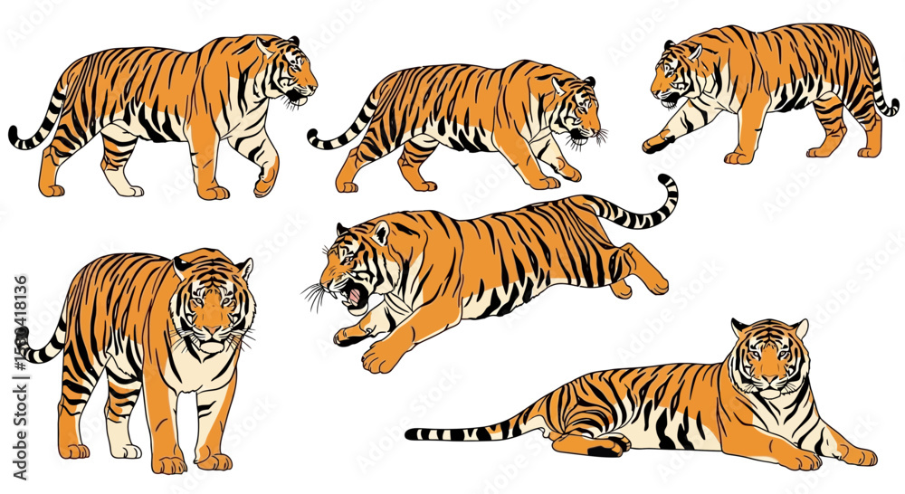 Obraz premium Amur tiger in various poses showcasing movement and agility 