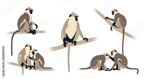 Langur monkeys in different poses on branches in minimalist style  