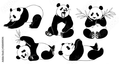 Giant panda in different poses expressing various emotions and actions  