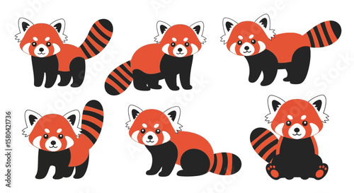 Red panda in different poses against a white background, concept of Animals in different poses  
