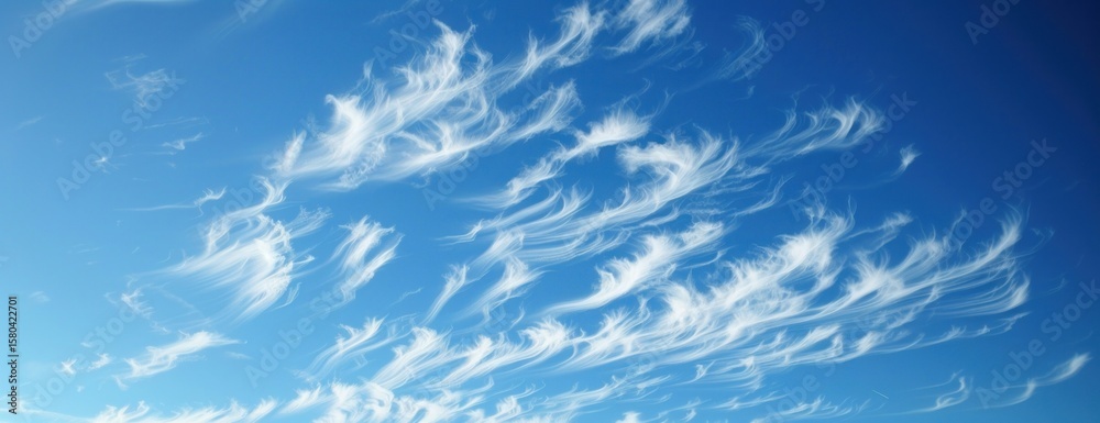 Fototapeta premium Blue sky with cirrus clouds background nature outdoors.