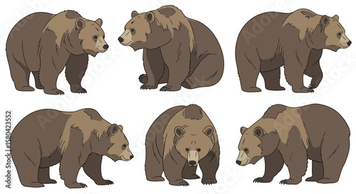 Six illustrated Tibetan brown bears in different poses  