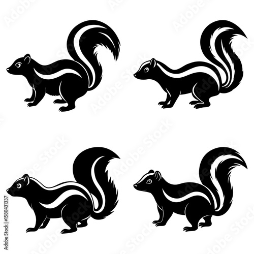 Four skunks in black and white with bushy tails and stripes in various poses on a white background