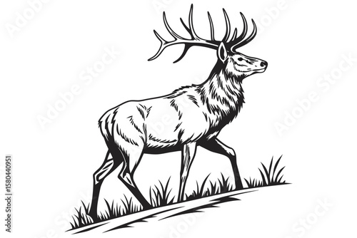 Running Stag in Silhouette