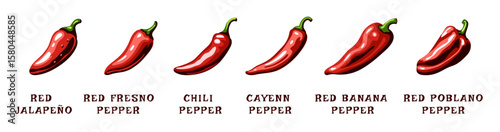 Set of hot red peppers vector illustrations in vibrant colors, for food ingredients and health support