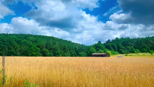 Wheat field and blue sky with clouds time lapse, Germany (Hessen) , Surroundings of the town of Schlitz near Lake Pfordter