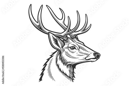 Nordic Deer Head Outline