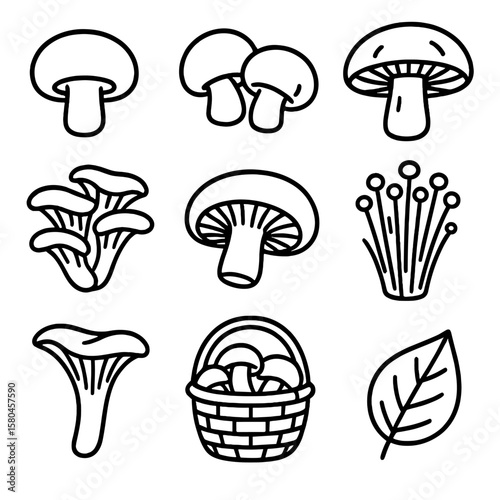 Mushroom Icon Collection. Outline style icons of Fresh Mushroom Variety: button mushroom, cremini pair, shiitake cap, oyster
