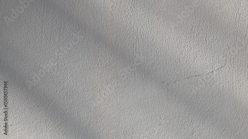 Natural leaf shadows on the background of the old cement wall.