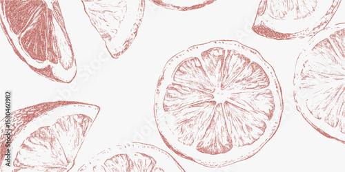Drawing of a bunch red oranges. Vintage stipple art with photocopy grain texture, threshold contrasts. Noisy gritty halftone, nostalgic zine and photocopy aesthetic.
