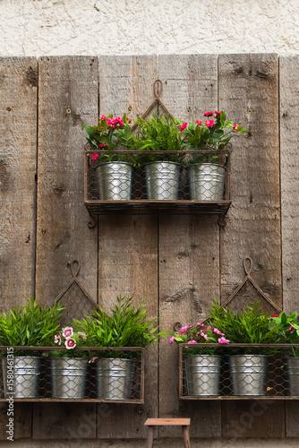 potted plants in little tins hanging on a wall