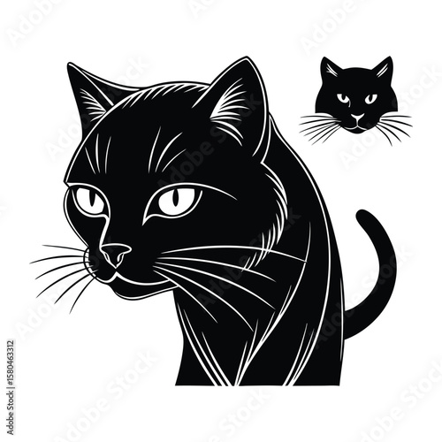 Black cat silhouette