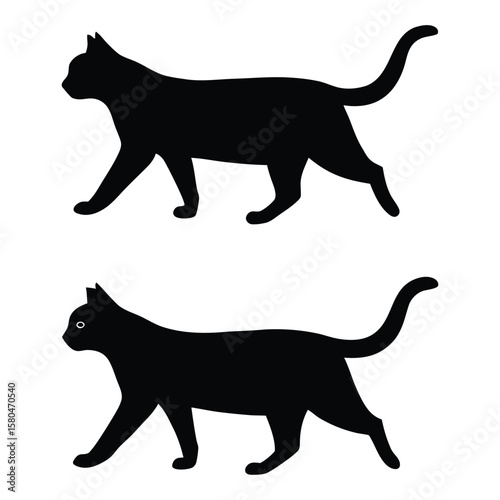 Black cat silhouette walking