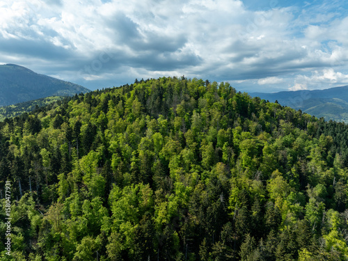 Aerial view of a dense, undulating forest canopy, where vibrant greens meet the soft blues of the sky, showcasing nature's untouched beauty, Thann, Grand Est, France.