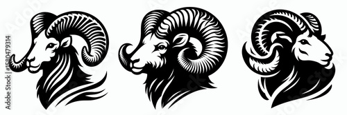 Bighorn sheep with curled horns. Cartoon Clipart Silhouette Vector Illustration Coffee Line Art Illustration. Rocky mountain animal having bent headgear alpine mammal twisted horn.