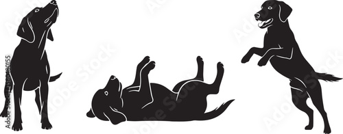 Black silhouettes of three dogs in various playful and active poses