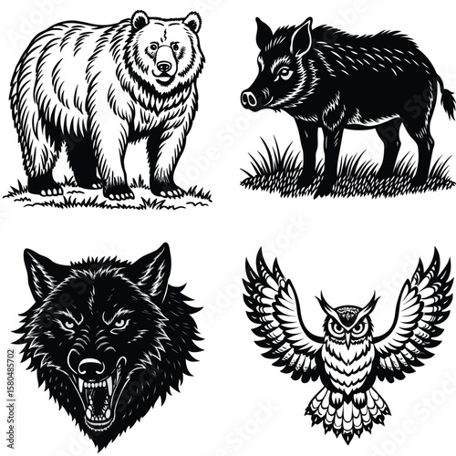 Vector art of a formidable bear, boar, wolf, and owl stand together in a striking composition