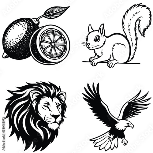 Vector art of a black and white illustration shows a lemon, squirrel, lion, and eagle isolated on white background