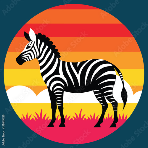 zebra vector illustration