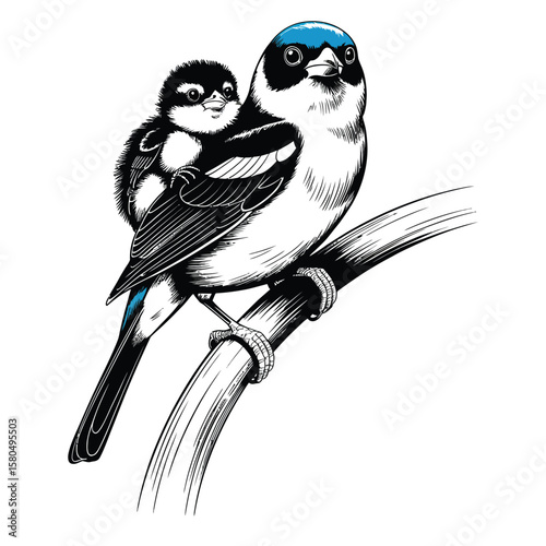 Black and white vector illustration of a tanager parent with chick perched on branch in minimalist style emphasizing simplicity and care