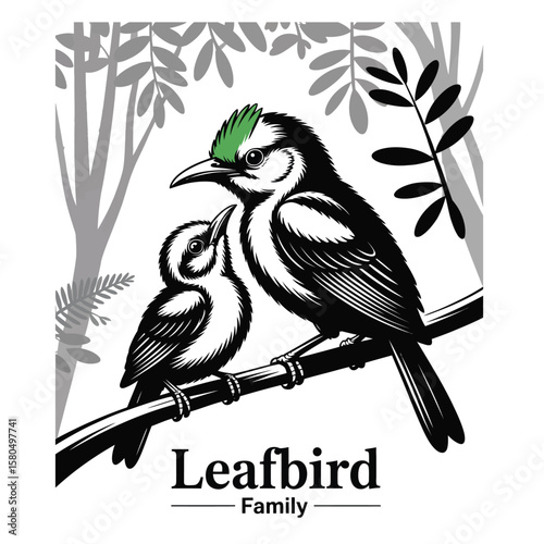 Black and white vector illustration of leafbird parent tenderly interacting with baby on a branch