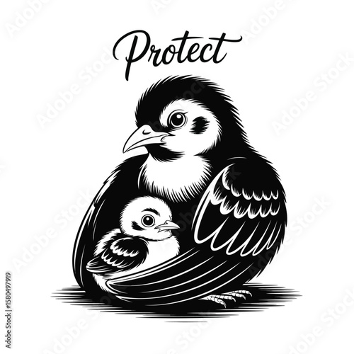 Black and white vector illustration of parent bird shading chick under wing in tender protective pose