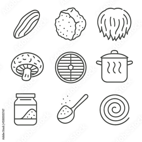 Medicinal Mushroom Icons. Line style icons of Medicinal Mushroom Apothecary: reishi slice, chaga chunk, lion’s mane tuft, shiitake