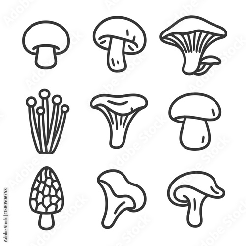 Mushroom Line Icons. Line style icons of Mushrooms: button mushroom, shiitake, oyster mushroom, portobello cap, enoki cluster,