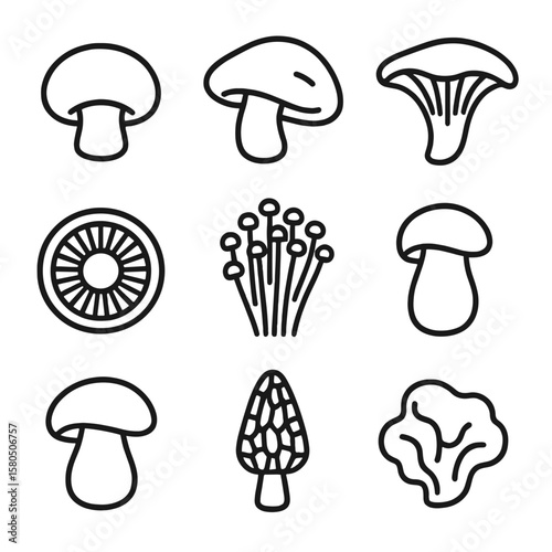Mushroom Line Icons. Line style icons of Mushrooms: button mushroom, shiitake, oyster mushroom, portobello cap, enoki cluster,