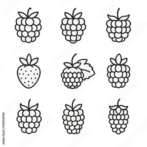 Thicket Berry Icons. Line style icons of Thicket Berry Blend: blackberry, raspberry, dewberry, wineberry, salmonberry,