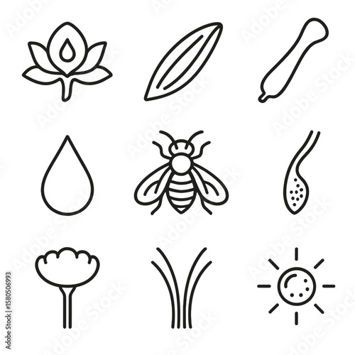 Nectar and Pollination Icons. Outline style icons of Nectar & Pollination Structures: nectar gland, nectary ridge, spur tube,