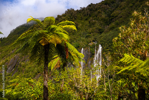 Tall, powerful Trident Creek Falls Surrounded by Lush Tree Ferns near Franz Josef Glacier, Westland Tai Poutini National Park, West Coast, South Island, New Zealand