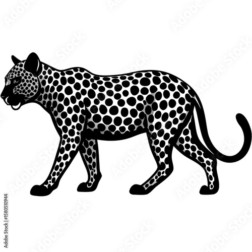 A black and white spotted leopard walking with a distinctive silhouette