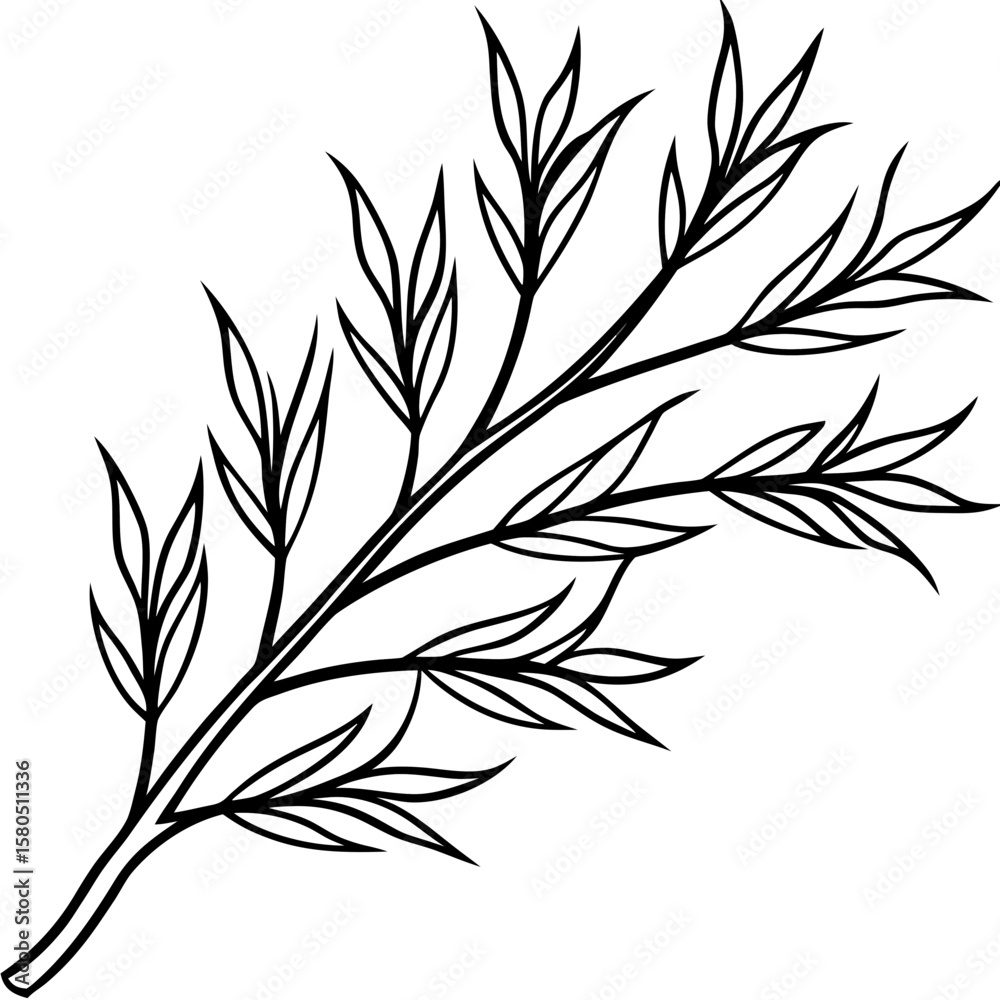Fototapeta premium Simple outline of a delicate branch with multiple leaves silhouette