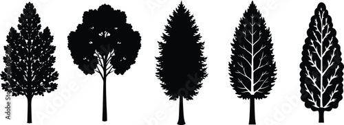 Silhouettes of trees on white background.