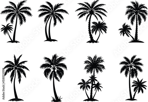 Palm trees silhouettes illustration.