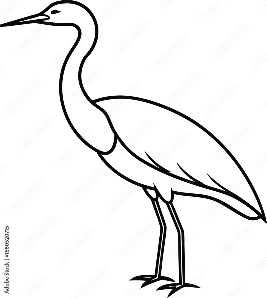 Obraz premium A bittern bird line art vector illustration.