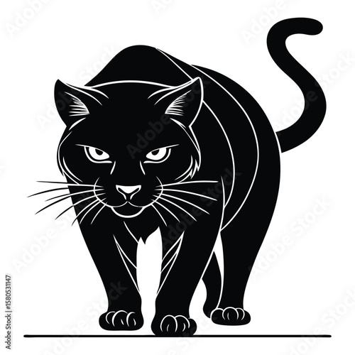 Black cat walking silhouette