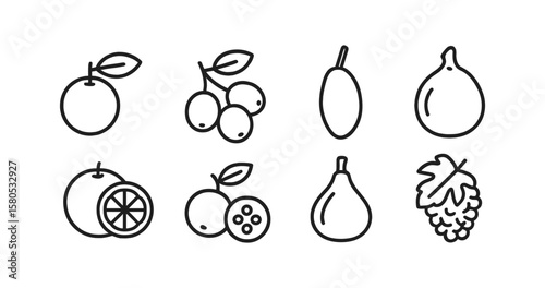 Fruit outline icon set. orange, grape, fig, berry, linear fruit icons collection