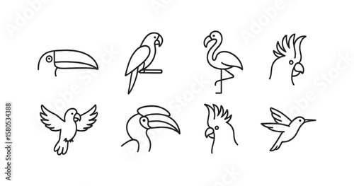 Birds outline icon set. toucan, parrot, flamingo silhouette icons in a minimalist style