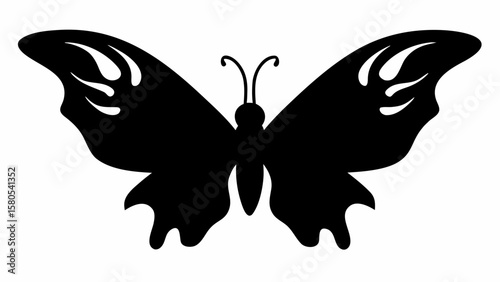 Silhouette of a butterfly with detailed wings and antennae in a symmetrical design against white ground