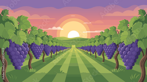 Colorful Vector SVG Illustration of Vineyard Landscape with Grape Vines and Sunset in Modern Flat Style