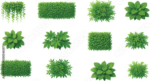 Diverse collection of hand drawn green bushes and hedges for landscape and design elements