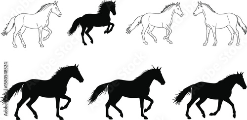 Horse silhouettes cad drawing flat vector illustration, walking, running, trotting poses in black and white styles, front view animal layoutHorse silhouettes cad drawing flat vector illustration