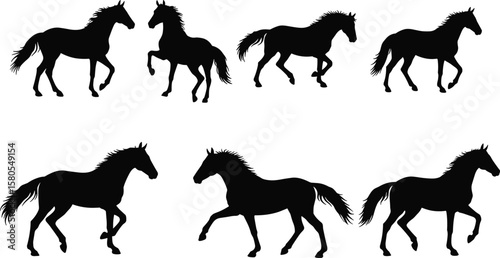 Horse silhouettes cad drawing flat vector illustration, walking, running, trotting poses in black and white styles, front view animal layoutHorse silhouettes cad drawing flat vector illustration