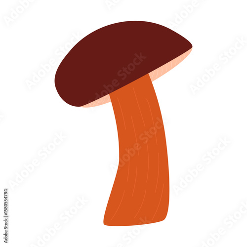 Boletus mushroom isolated element. Autumn forest harvesting food.
