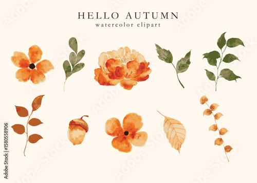Floral set with watercolor hand drawn autumn fall flowers clipart decoration sticker illustration printable