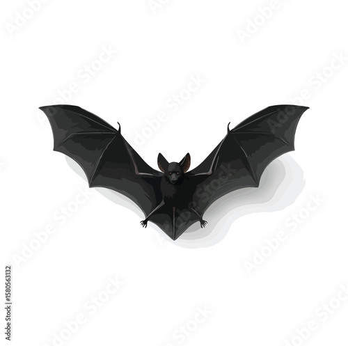 bat  vector