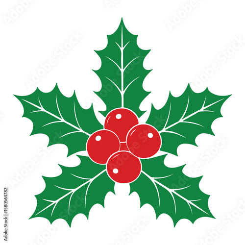 Christmas holly leaves with red berries vector illustration